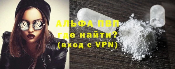 ПСИЛОЦИБИНОВЫЕ ГРИБЫ Кукмор