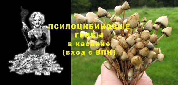 ПСИЛОЦИБИНОВЫЕ ГРИБЫ Кукмор